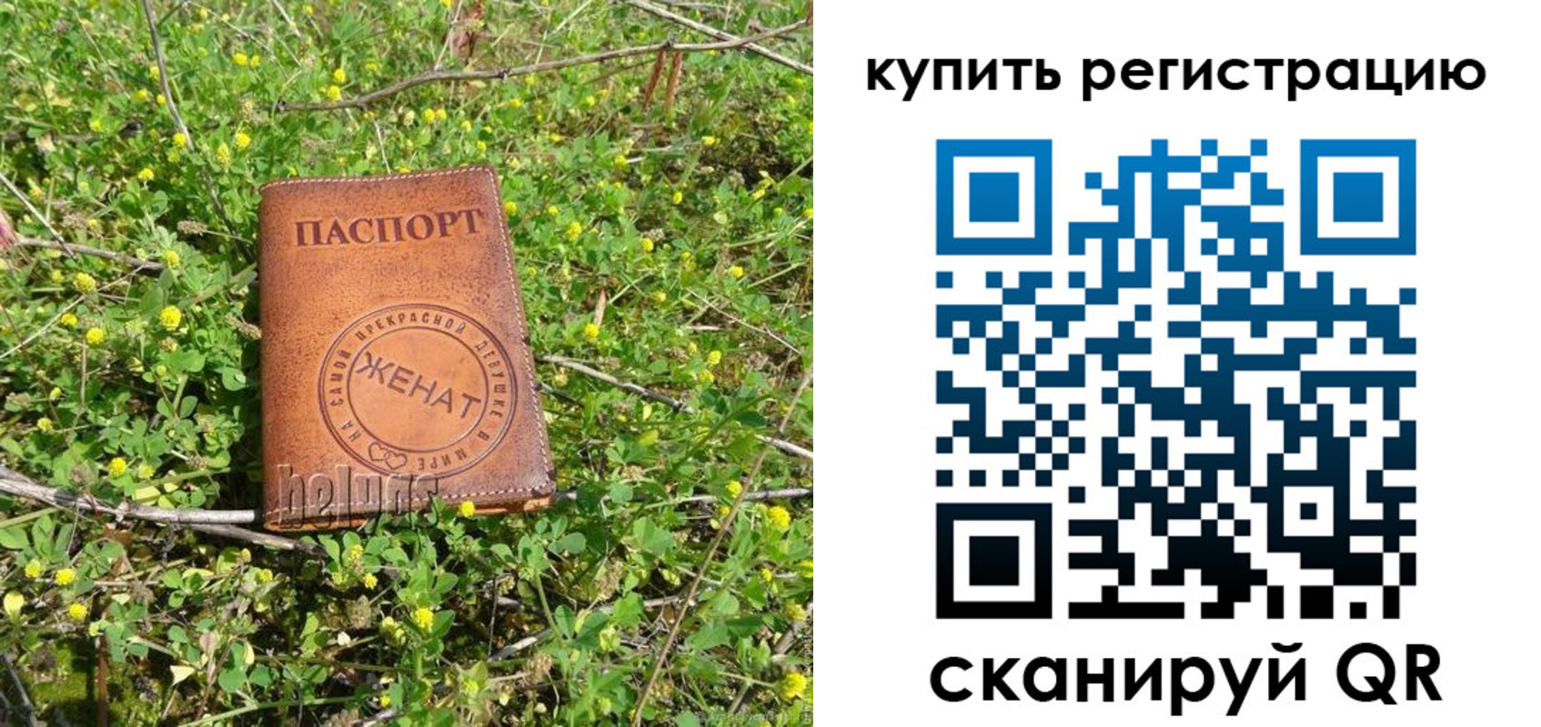регистрация для дет. сада в Александровске-Сахалинском